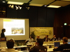 dsc01013.jpg